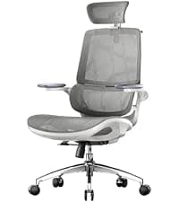 SIHOO M57 Ergonomic Mesh Office Chair, High Back Home Desk Chair with 3D Armrests, Lumbar Support and Adjustable Headrest, Comfortable Computer Chair, Big & Tall Office Chair Hold 330 LBS-Black
