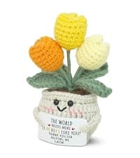 OASSIE Teacher Gifts for Women - Mini Handmade Positive Apple Crochet with Message Card - Teachers Day Christmas Birthday Graduation Appreciation Thank You School Gifts for Students Teachers Women