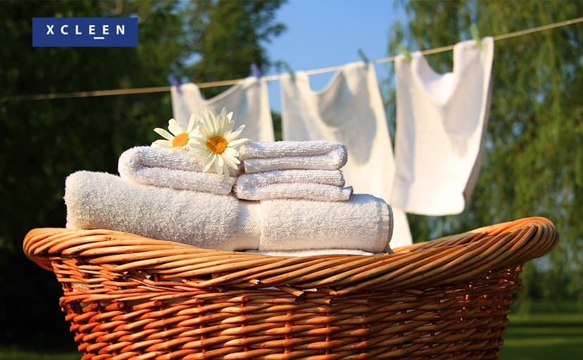 Xcleen Laundry Whitener Sheets 60 count, Chlorine Free, Fragrance Free Bleach for White Clothes, Safe for Use in All Washing Machines