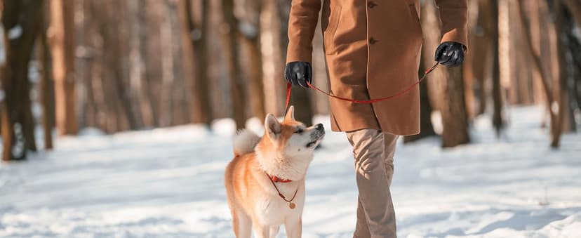 HANDLANDY Genuine Sheepskin Leather Gloves for Men Winter Driving Warm Thermal Wrist Gloves Fleece Lining for Cold Weather