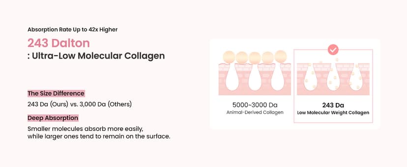BIODANCE Bio-Collagen Real Deep Mask, Hydrating Overnight Hydrogel Face Mask, Pore Minimizing, Elasticity, Plumping, Travel Essentials & Self Care Gifts for Women, Korean Skin Care | 1.19oz(34g) x 4ea B0B2RM68G2