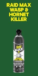 Raid Wasp & Hornet Killer Spray, Kills the Entire Nest, For Paper Wasps, Yellow Jackets, Mud Daubers and more, 14 oz (Pack of 2)