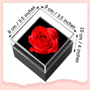 I Love You in 100 Languages Projection Necklace, Preserved Red Rose Flower in Box, Gift for Mother Mom Wife on Anniversary Hicarer Christmas Necklace Gift Girlfriend Women Heart Pendant B08QMKKXNJ