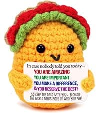 Positive Crochet Taco Christmas Birthday Gifts for Women Men Self Care Son Back to School Mom Dad Daughter Sister Friend Coworkers Relaxation Gift Desk Home Fall Decor Emotional Inspirational Support