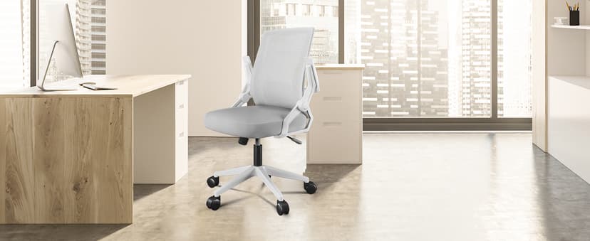 GTPLAYER Ergonomic Office Chair with Flip-up Armrests Executive Computer Chair for Home Office, Breathable Mesh & Comfy Lumbar Support, Moon Gray