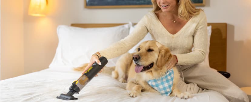 Fanttik Slim V8 APEX Car Vacuum, 4-in-1 Portable Mini Cordless Vacuum with 19000pa Suction Power, Type-C Charge, 2 Suction Modes, Handheld Vacuum for Small Jobs, Car, Office Desk, Keyboards (Black)