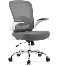 Office Chair with Adjustable Inflatable Lumbar Support,Leather Ergonomic Computer Desk Chair with Flip-up Arms,Adjustable Tilt Lock,Swivel Rolling Executive PC Chair for Work,Study,Meeting.Grey