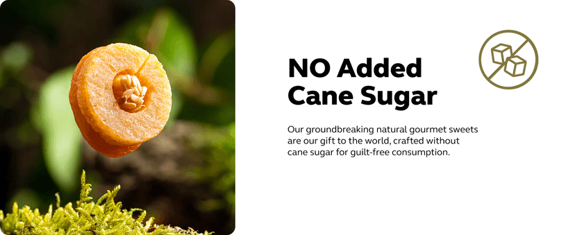 Laumière Gourmet Fruits - Dried Fruit Gift Baskets - Superfood Parfait Collection - Square (16 Pcs) - Premium Nuts Gift Basket - Healthy Snack Boxes for Adults- Vegan, Gluten Free Food Box - No Added Cane Sugar