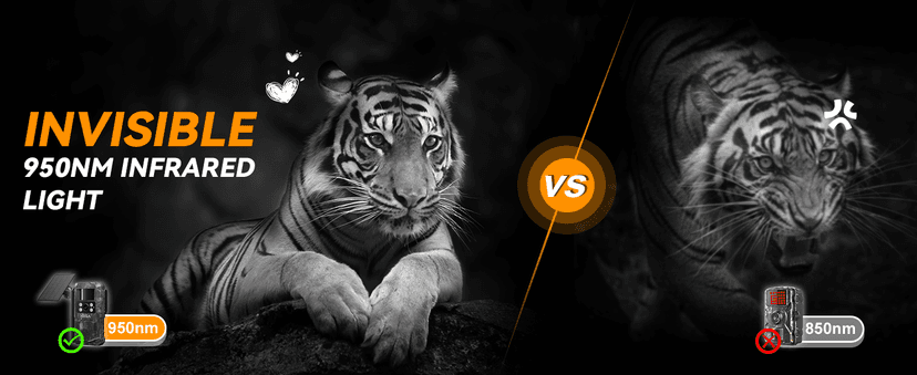 Xega 4G LTE Cellular Trail Camera with Livestreaming, No WiFi Game/Deer Cameras, Motion Activated, 7800mAh Battery, 950nm No Glow Night Vision, TF/Cloud Storage, IP66 Weatherproof, Built-in SIM Card