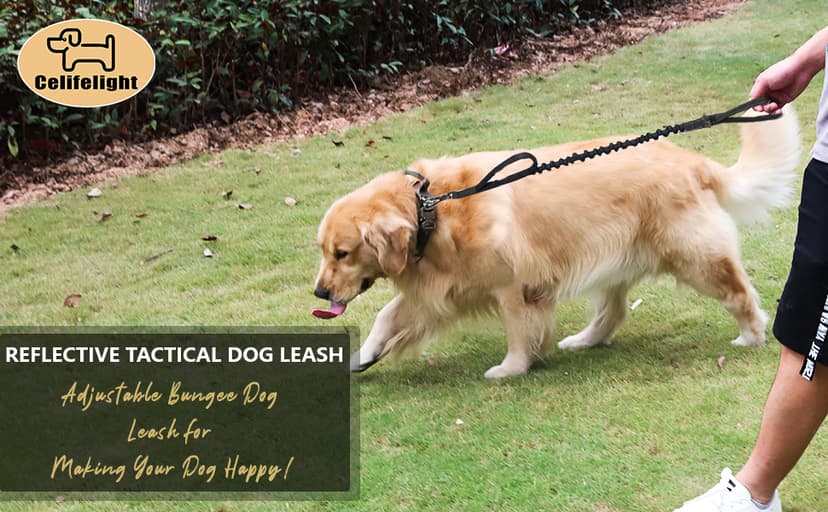 Tactical Dog Collar and Bungee Leash,Military Dog Collar & Leash Set with USA American Flag Adjustable K9 Collar with Heavy Duty Metal Buckle & Handle,with Patches and Airtags Case (L, Black)