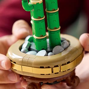 LEGO Botanicals Lucky Bamboo Building Set - Artificial Plant for Indoor Home Décor, Adults Ages 18+ - Fake Plant Decoration for Table, Desk, Office - Gift for Birthdays - 10344