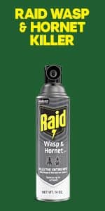 Raid Wasp & Hornet Killer Spray, Kills the Entire Nest, For Paper Wasps, Yellow Jackets, Mud Daubers and more, 14 oz (Pack of 2)