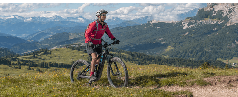 Urban Deco Bike Repair Stand Bench Mount Bike Stand Wall Mounted Bike Work Stand Bicycles Maintenance Rack Bike Clamp for Road Mountain Bike,Road Bike (13.6 inch Curved)