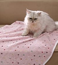 1 Pack 3 Blankets Super Soft Fluffy Premium Fleece Pet Blanket Flannel Throw for Dog Puppy Cat Paw Brown/Pink/White Small(23x16 inch)