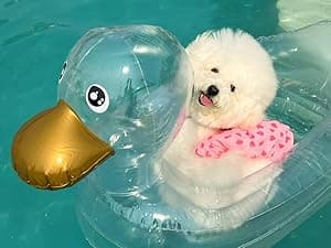 Dog Pool Float, Funny 6-in-1 Inflatable Dog Floats for Pool, Pet Floatie Raft for Small Dogs, Puppy and Doggies, Pink Flamingo