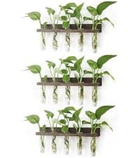 Unique Gardening Birthday Gifts for Women Plants Lovers, Home Office Garden Decor Planter - 3 Bulb Glass Vases Renmxj Plant Propagation Station, Plant Terrarium with Wooden Stand B096VDR4TM