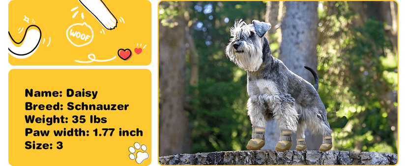 Hcpet Dog Shoes, Dog Boots & Paw Protectors for Winter Snowy Days, Rainy Weather, Outdoor Anti-Slip Sole Dog Booties for Hardwood Floor Black-Leg 1