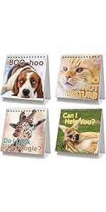 Fancy Land Funny Desk Signs 30 Different Fun and Flip-Over Messages for Office Desk Accessories