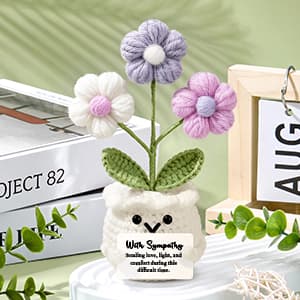 Sympathy Gifts for Loss of Loved One Sympathy Gift Baskets Miscarriage Care Package for Women Grief Bereavement Memorial Gift Ideas for Loss of Mother Dad Son Condolence Remembrance Hug in a Box Gifts B0H5X7C3GV