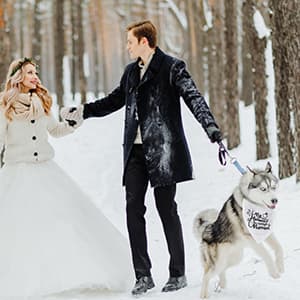 Engagement Gift, My Humans are Getting Married Dog Bandana, Wedding Photo Prop, Pet Scarf, Dog Engagement Announcement, Pet Accessories (Black) B09FDTW997