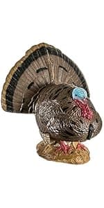 Rinehart 1/3 Scale Woodland Elk 3D Archery Target | Scaled Elk with Replaceable Vital Insert | Broadhead & Field Point Compatible | Self-Healing Foam | Made in USA