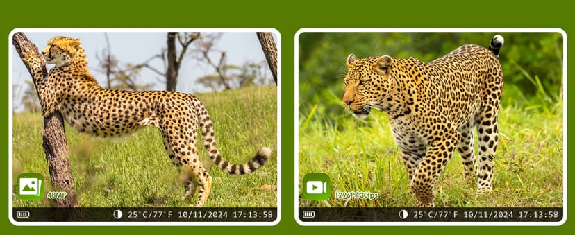 MAXDONE Solar Trail Camera WiFi Bluetooth - 48MP 30fps Game Camera with 5200mAh Rechargeable Battery, 0.1s Trigger Speed Motion Activated Trail Cam IP66 with 32GB TF Card for Wildlife Monitoring