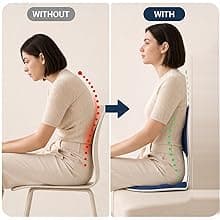 Ergonomic Lumbar Support Cushion for Back Support & Pain Relief | 6-Zone Pressure Distribution Posture Corrector for Office Chair, Car Seat, Desk, etc. | Great as a Gift (Gray)