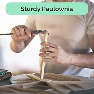 LyxPro 39” Electric Guitar Left Hand TL Series, Full-Size Paulownia Wood Body, 3-Ply Pickguard, C-Shape Neck, Ashtray Bridge, Quality Gear Tuners, 3-Way Switch & Volume/Tone Controls, 2 Picks, Green