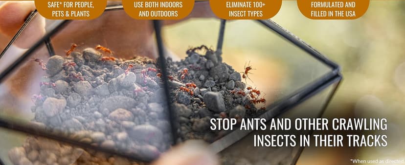 Dr. Killigan's Dust to Dust Powder - Diatomaceous Earth Alternative - Insect Killer for Indoor & Outdoor Use - Removes on Contact & While You Sleep, Protects up to 6 Months (10 oz)