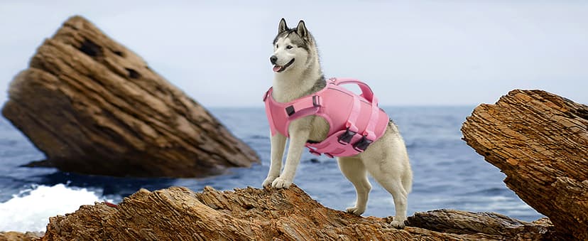 Kuoser Dog Life Jacket High Flotation, Reflective Dogs Life Vest for Swimming Boating, Adjustable Small Medium Large Dog lifejacket, Lightweight Dogs Life Preserver Rescue Handle Spring Summer Pool