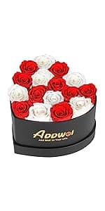 ADDWel Preserved Rose Gifts for Her, Forever Real Flowers with Sterling Silver Necklace for Wife Girlfriend Mom on Birthday Anniversary