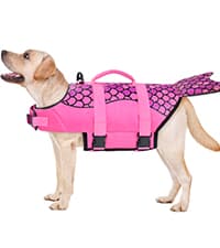 Malier Dog Life Jacket, High Buoyancy Shark Swimsuit, Ripstop American Flag, Medium, Red & Dark Blue