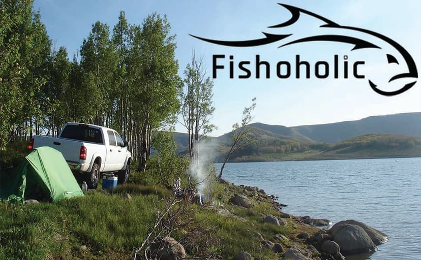 Fishoholic Polarized Fishing Sunglasses UV400 (14 Options) Fishing Gift with Hard Case & Pouch