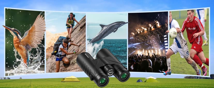 10x42 Binoculars for Adults - Professional HD Roof BAK4 Prism Lens Binoculars for Bird Watching, Hunting, Travel, Sports, Cruise, with Carrying Bag (1.1Lbs)