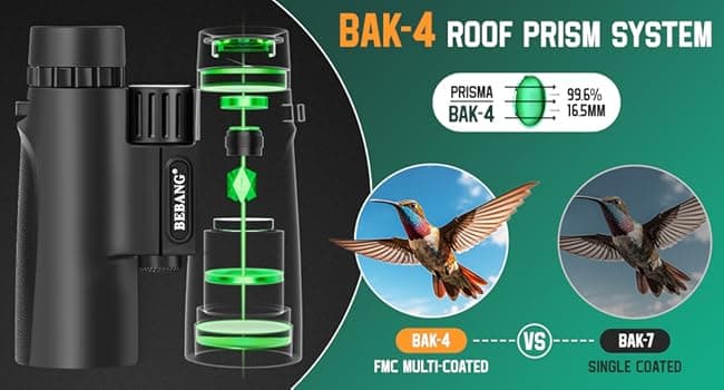 BEBANG Binoculars for Adults 10x42 High Powered Waterproof Binoculars for Bird Watching, Hunting, Travel, Stargazing, Sports, Wildlife, Bright and Clear Range of View