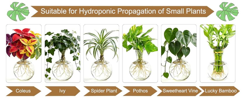 Unique Gardening Birthday Gifts for Women Plants Lovers, Home Office Garden Decor Planter - 3 Bulb Glass Vases Renmxj Plant Propagation Station, Plant Terrarium with Wooden Stand B096VDR4TM