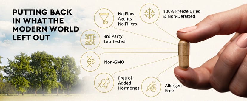 Ancestral Supplements Ancestral Supplements Mofo, Supplements for Men, Support for Energy Levels and Overall Men's Health and Wellness, Non-GMO Grass Fed Beef Organ Supplement with Liver, No Fillers, 180 Capsules