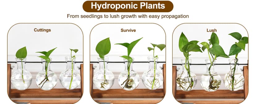Unique Gardening Birthday Gifts for Women Plants Lovers, Home Office Garden Decor Planter - 3 Bulb Glass Vases Renmxj Plant Propagation Station, Plant Terrarium with Wooden Stand B096VDR4TM