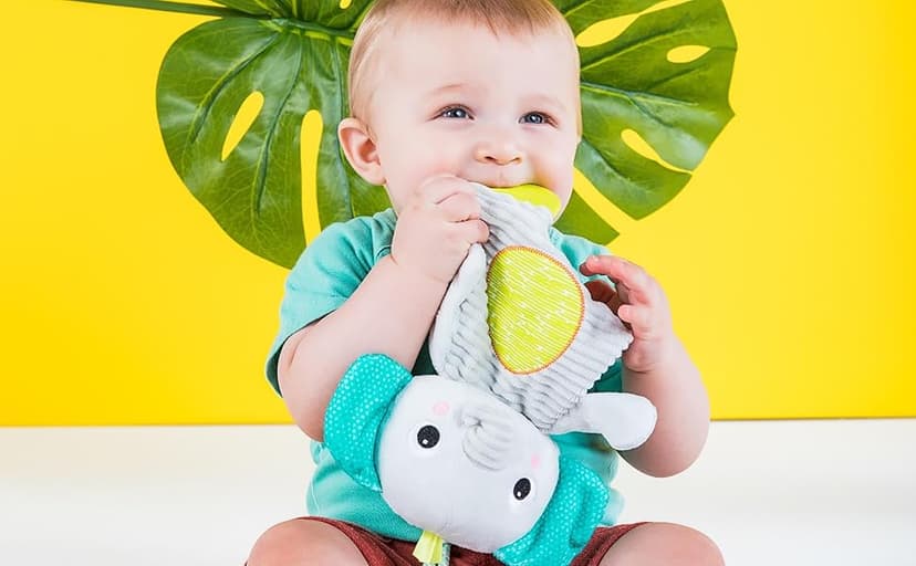 Bright Starts Snuggle & Teethe BPA-Free Crinkle Teething Plush Baby Toy - Giraffe