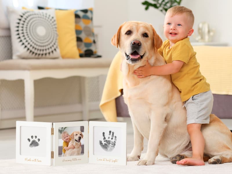 Newborn Keepsake, Dog Nose, Paw Print Kit, Clean Touch Ink Pads, Baby Handprints Footprints Kit, New Mom Gifts 4pk Inkless Baby Hand and Footprint Kit, Mess Free Ink Pads (Jet Black, R) B08N6KWS7T