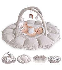 HAN-MM 5-in-1 Convertible Baby Play Gym with 6 Toys, Tummy Time Mat for Sensory Development, Baby Activity Center from Newborn to Toddler, Ball Pit, Soft Plush Pet Mat, Pink