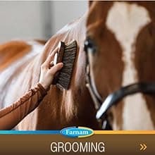 Farnam Vita Plus Balanced Multi-Vitamin & Mineral Horse Supplement, Provides Balanced Nutrition to Support Overall Health and Performance, 3.75 pounds, 30 Day Supply