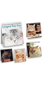 Fancy Land Funny Desk Signs 30 Different Fun and Flip-Over Messages for Office Desk Accessories