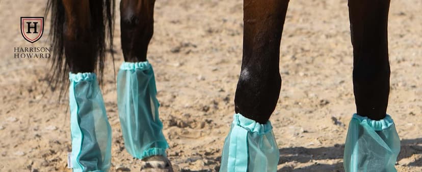 CareMaster Universal Size Horse Leggings Fine Mesh Horse Fly Boots Greatly Reduce Stomping Breathable Horse Boots Leg Wraps (Set of 4) Purple