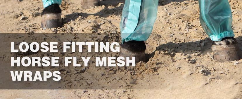 CareMaster Universal Size Horse Leggings Fine Mesh Horse Fly Boots Greatly Reduce Stomping Breathable Horse Boots Leg Wraps (Set of 4) Purple