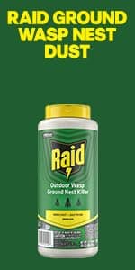 Raid Wasp & Hornet Killer Spray, Kills the Entire Nest, For Paper Wasps, Yellow Jackets, Mud Daubers and more, 14 oz (Pack of 2)