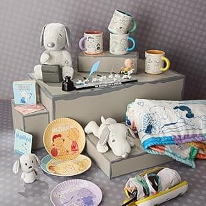 Hallmark Paper Wonder Peanuts Pop Up Valentines Day Card (Snoopy and Woodstock)