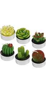 GIFTEXPRESS 18 Pcs Succulent Cactus Candles No Repeat Style, Delicate Smokeless Scented Tealight Candles for Home Décor, SPA, Wedding, Valentine's Day, Birthday Gift, Anniversary Celebration