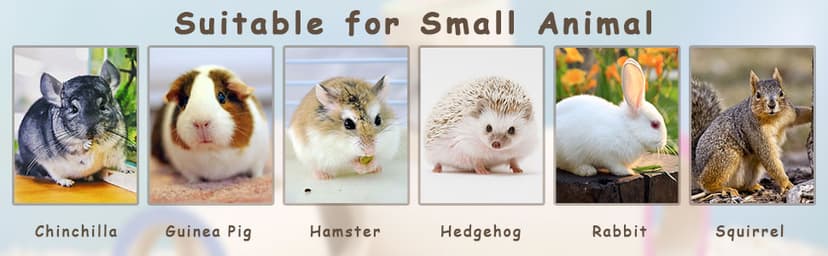 20 Pcs Small Animal Pet Lava Bites Chews Toy Teeth Grinding Block Mineral Calcium Stone for Hamsters Parrot Chinchillas Rabbits Guinea Pigs Gerbils