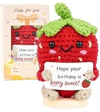 Crochet Birthday Gifts for Women – Inspirational Heart Planter Handmade Happy Birthday Gift for Women,Man,Mom, Sister, Best Friend, Coworker – Unique Gift Ideas for Her, Him, Birthday Decorations B0GWJBYTBJ
